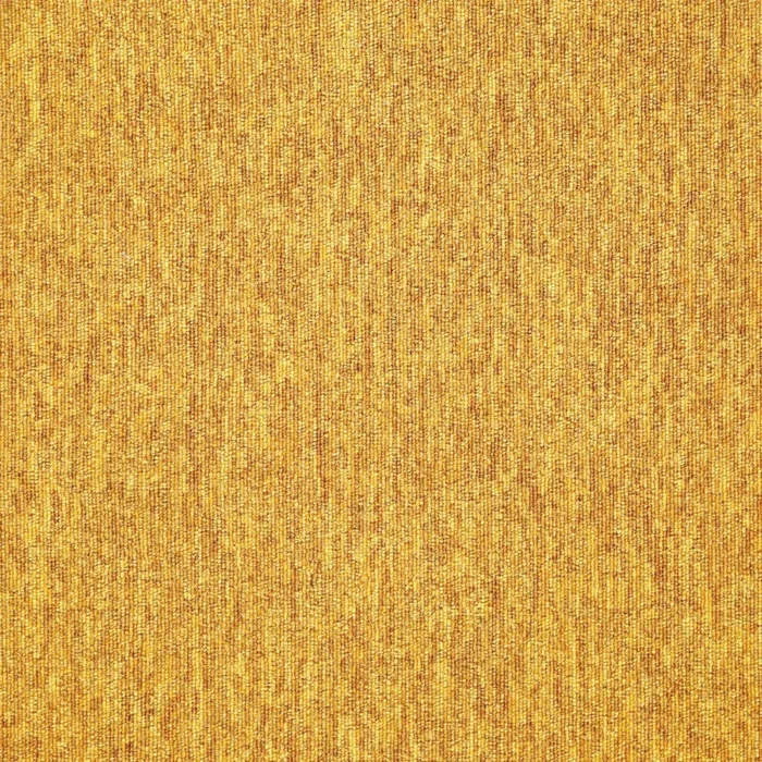 basis_04