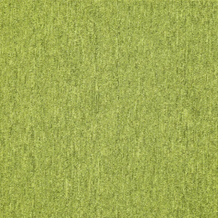 basis_07