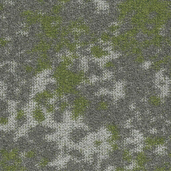 BLOQ CREATE SMALL 622 FERN BLOQ CREATE SMALL 622 FERN