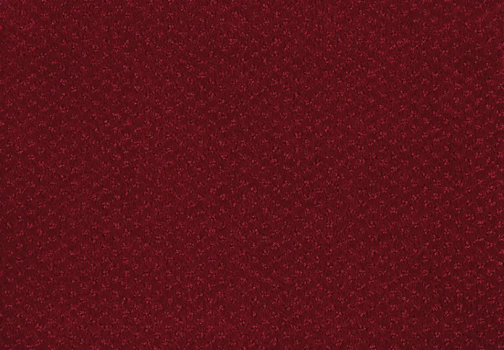 carve-classic-color-120-coral carve-classic-color-120-coral