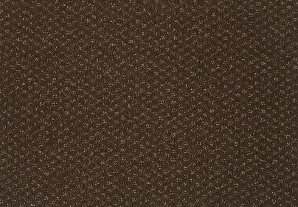 carve-classic-color-280-havanna carve-classic-color-280-havanna