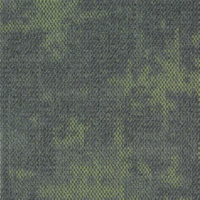 rebirth-01 rebirth-01