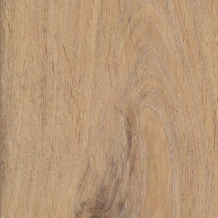 silk-oak-oat