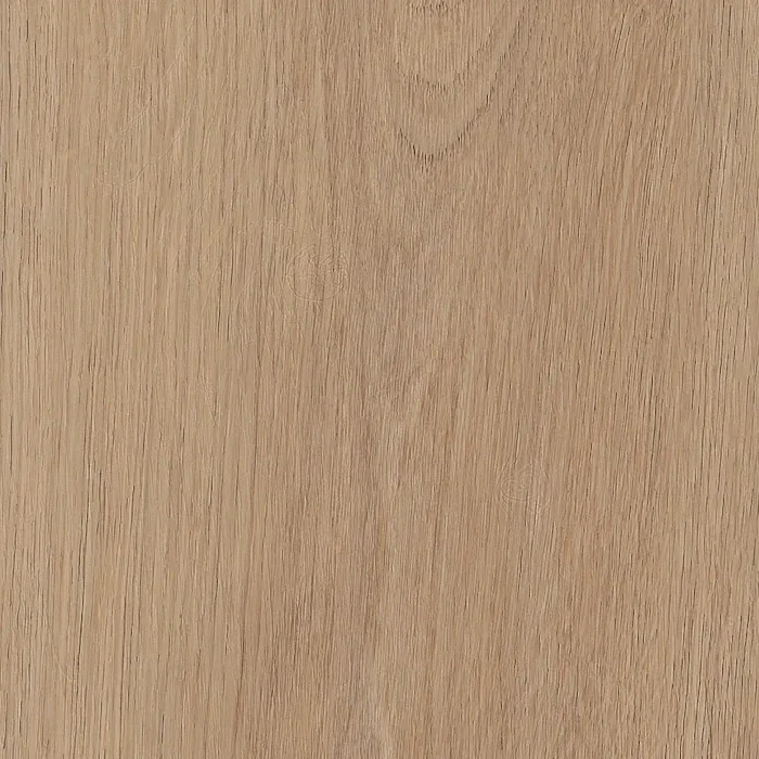 Invictus Maximus Cashmere Oak Sunny Loose Lay Invictus Maximus Cashmere Oak Sunny Loose Lay