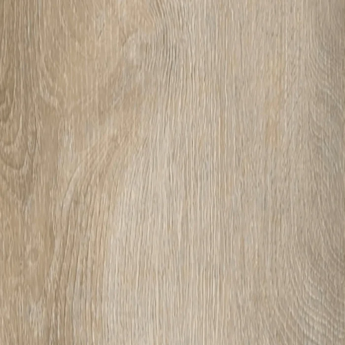 Invictus Maximus Divine Oak Champagne Loose Lay