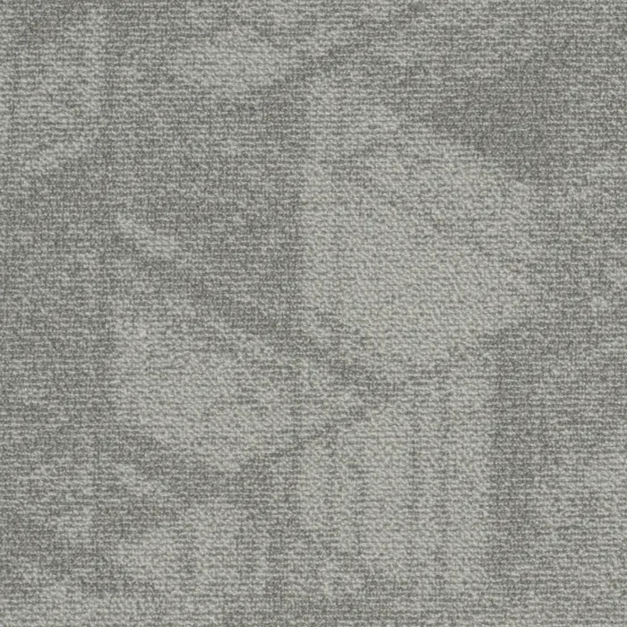 Desoma Geometry 06
