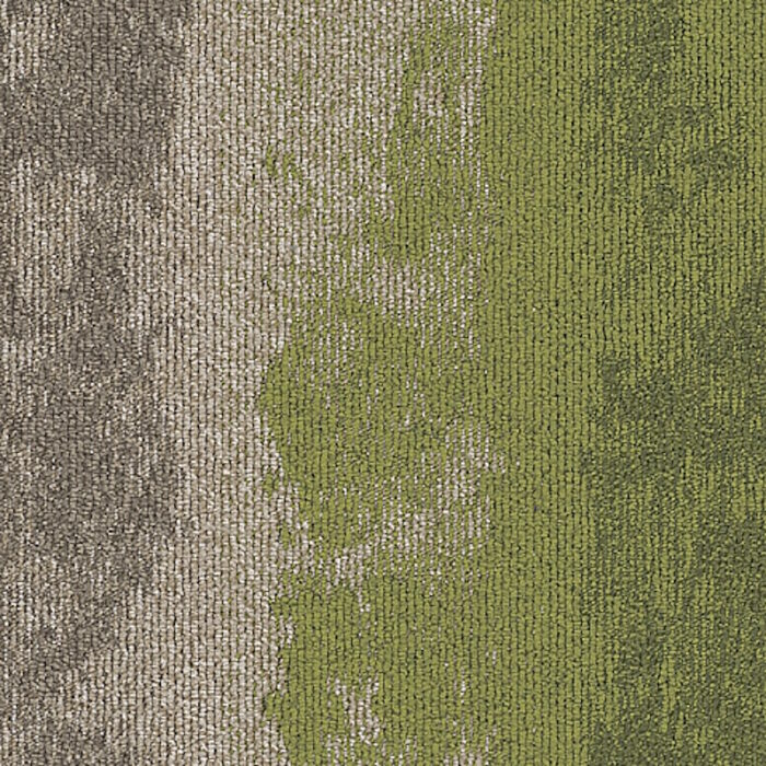 Ковровая плитка Binary R-Evolution 730 Grass pine Ковровая плитка Binary R-Evolution 730 Grass pine
